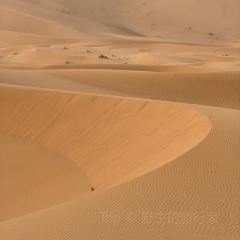 El Morocco Club User Photo