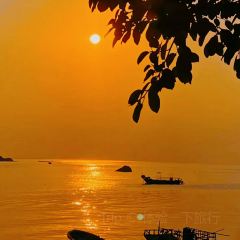 海边有棵树 여행 사진