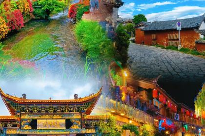 Forest Factory Party