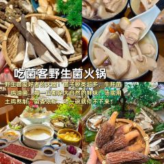 馒头诗人 User Photo