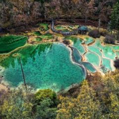 喜马拉雅音乐藏餐吧 User Photo