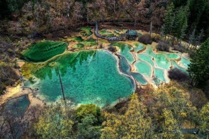 喜马拉雅音乐藏餐吧