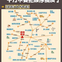 菌齐彩菇 User Photo