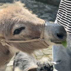 山里·落日小院·亲子营地·烤肉(云篆山店) 여행 사진