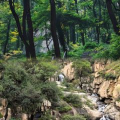 Guo hua san guan User Photo