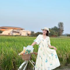 庐江汤池稼圃集民宿·念丘山花园中餐厅 User Photo