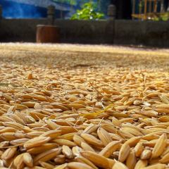 土灶头·天台味道(劳动路店) User Photo