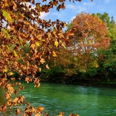 Sala Thai User Photo