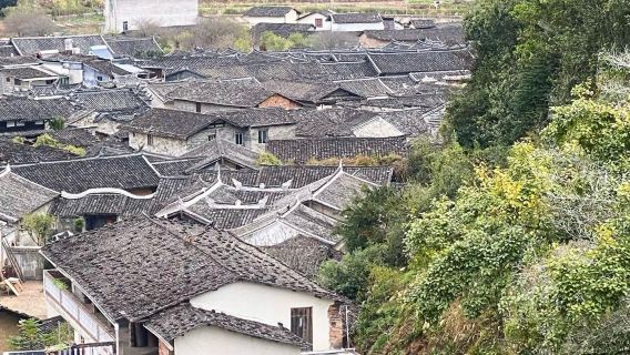 Nanshan Academy