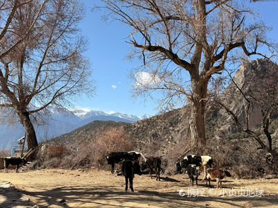 Xueda Village