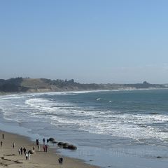 Moeraki Boulders Cafe User Photo