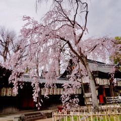 Tsujirihei Honten User Photo