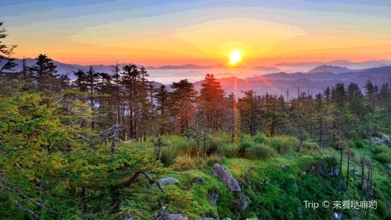 Changqing Nature Reserve
