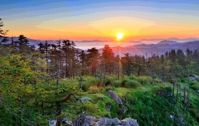 Changqing Nature Reserve