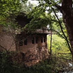 新桥河老鱼店 User Photo