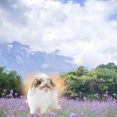 听花谷餐厅 User Photo