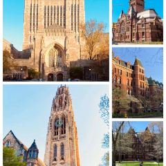 Nine Tastes User Photo