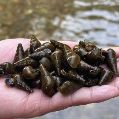 明味生態農莊張用戶圖片
