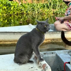 Si Yaek Huatakhe Cafe & Guesthouse User Photo