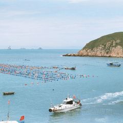 肥婆肥仔海鲜档(霞浦店) User Photo