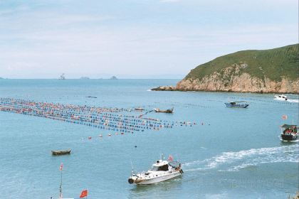 肥婆肥仔海鲜档(霞浦店)