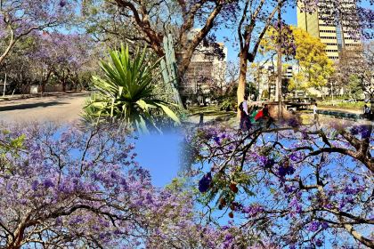 Taj Cafe and Restaurant-The Taste of India