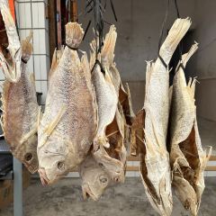 YANG XI XIAN DA AO YU CUN User Photo