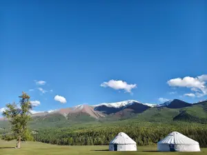 Batai's Tree - Filming Location of "My Altay"