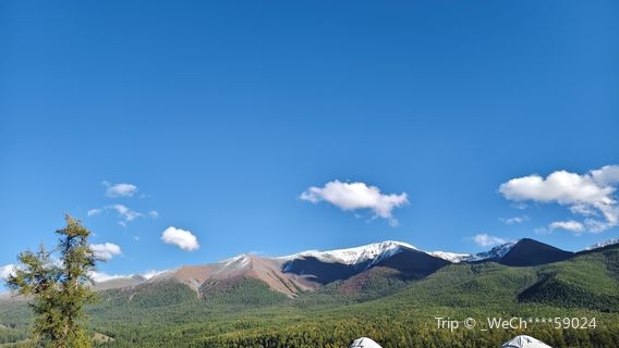 Batai's Tree - Filming Location of "My Altay"