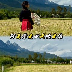 Lijiang Club Med Resorts Amaze Snow Mountain CampTent Restaurant User Photo