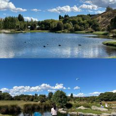 Mount Cook Alpine Salmon張用戶圖片