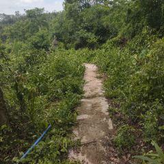 山涧别院 User Photo