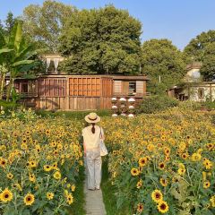 介个院子·草坪团建·围炉冰粉 User Photo