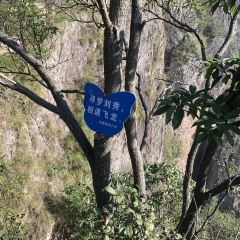 四季风尚酒店(永康南站龙腾时代购物广场店)·菲寻餐厅 User Photo