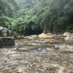 Qianjiang Ecology Lobster City User Photo