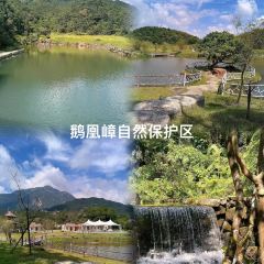 YANG XI XIAN DA AO YU CUN User Photo