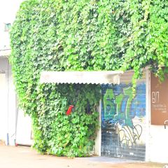 617 Single Malt Whisky Club User Photo