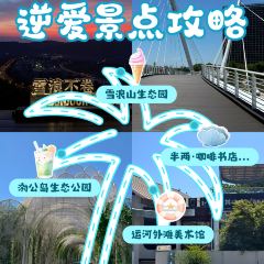 半两·咖啡书店·浮生是杯酒 User Photo