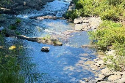 天缘阁素食餐厅