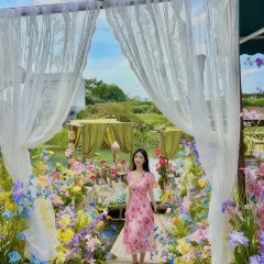 天香蟹园·正宗自产自销(阳澄湖莲花岛店) User Photo