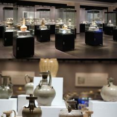 Shan Chinese Restaurant User Photo