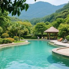 XI MEN SHAN YU GUO TIAO User Photo