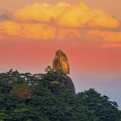 秀嫂挞粿 User Photo