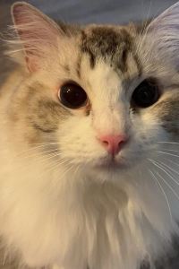 layray 錦江都城飯店（崑山金鷹國際崑劇院店）優惠