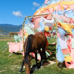 黑豆咖啡屋 User Photo