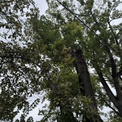 SOMEWHERE kitchen User Photo