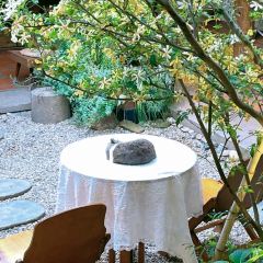 LICHI GARDEN RESTAURANT 여행 사진