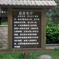 Wanningyiyunhuameidawenquanjiudianzhong Restaurant User Photo