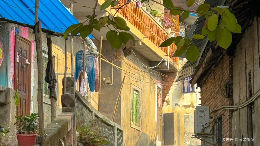 建康羊肉汤(简阳总店)