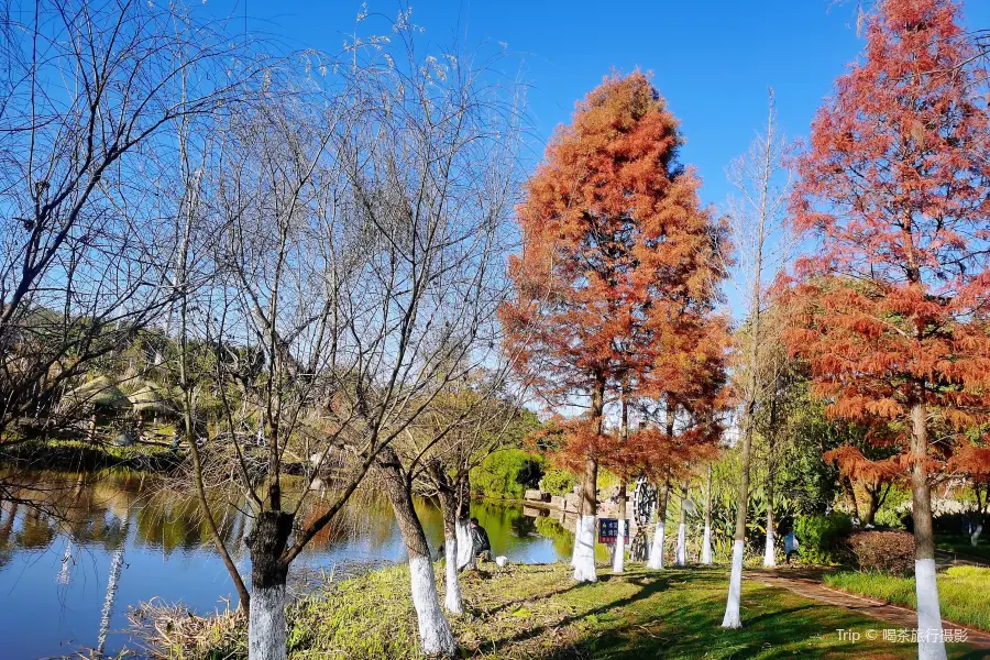 寧湖濕地公園